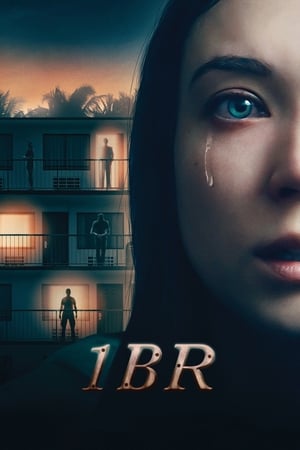 1BR (2019) Hindi Dual Audio [970MB]