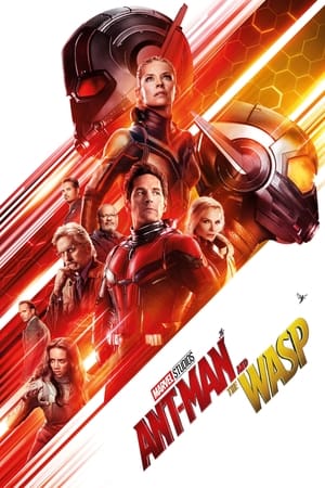 Ant-Man and the Wasp 2018 Movie (English) [900MB]