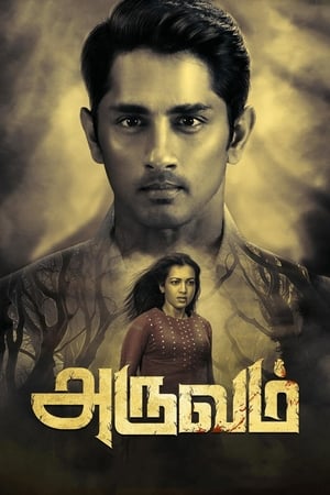 Aruvam (2019) (Hindi -Tamil) Dual Audio [1.4GB]