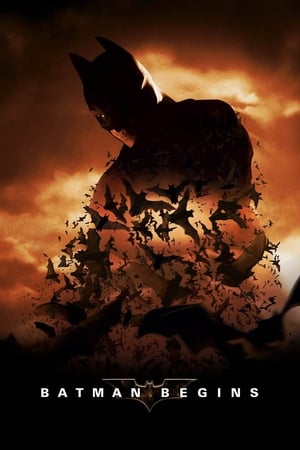 Batman Begins (2005) Hindi Dual Audio [980MB] Download
