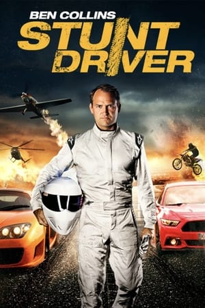 Ben Collins Stunt Driver (2015) Hindi Dual Audio 260MB