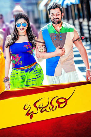 Bharjari 2017 Dual Audio Hindi Full Movie - 1.7GB