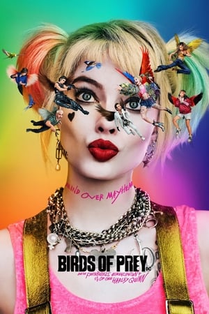 Birds of Prey (2020) Hindi (ORG) Dual Audio [1.1GB]