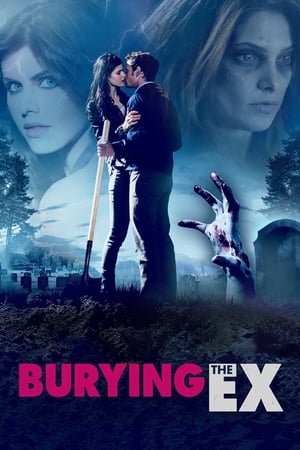 Burying the Ex 2014 Hindi (HQ Dubbed) 450MB