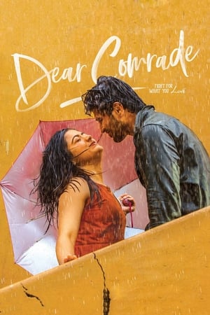 Dear Comrade 2019 (Hindi - Telugu) Dual Audio 450MB