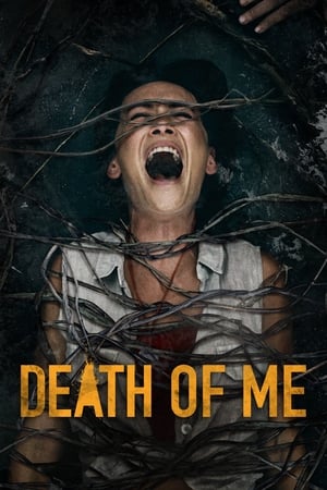 Death of Me (2020) Hindi Dual Audio 300MB