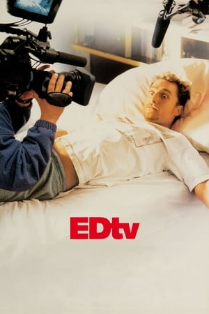 Edtv (1999) Hindi Dual Audio [950MB]
