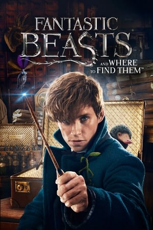 Fantastic Beasts and Where to Find Them 2016 Dual Audio (Hindi) [1.1 GB]