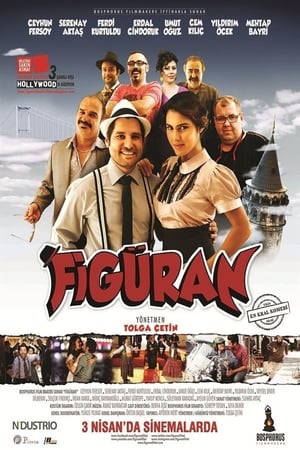 Figuran (2015) Hindi Dual Audio 330MB