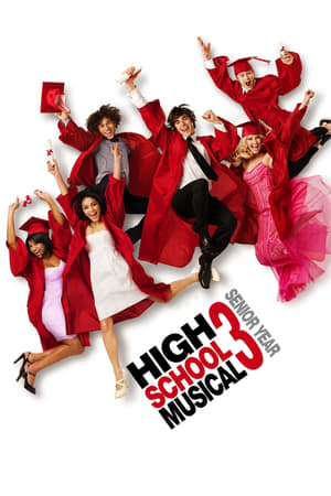 High School Musical 3 (2008) Hindi Dual Audio 350MB