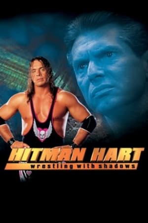 Hitman (1998) Hindi Dual Audio 300MB