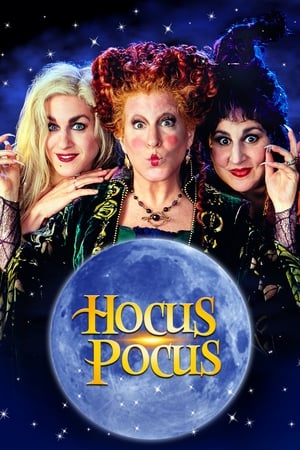 Hocus Pocus 1993 Hindi Dual Audio 320MB