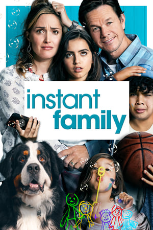 Instant Family (2018) Hindi Dual Audio [1.1GB]