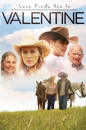 Love Finds You in Valentine (2016) Hindi Dual Audio [800MB]