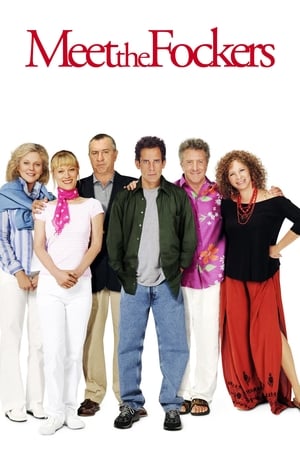 Meet the Fockers 2004 Hindi Dual Audio [1GB]