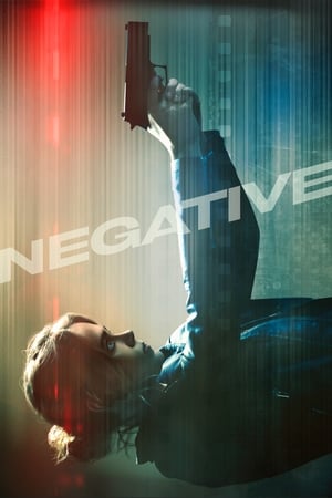 Negative (2017) Hindi Dual Audio [1GB]
