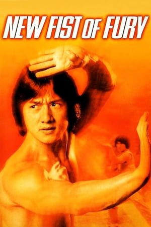 New Fists of Fury 1976 Dual Audio Hindi 360MB