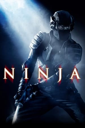 Ninja (2009) Hindi Dual Audio –