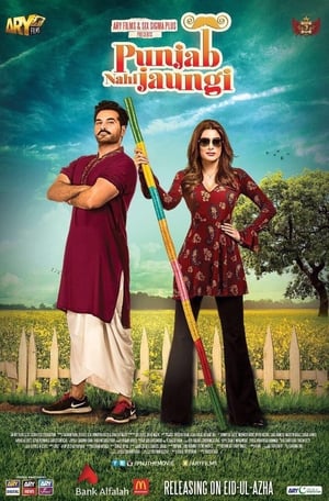 Punjab Nahi Jaungi (2017) Movie HDTVRip [980MB]
