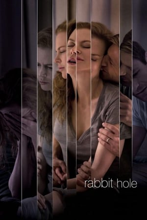 Rabbit Hole (2010) Hindi Dual Audio [750MB] ESubs
