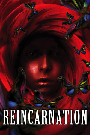 Reincarnation 2005 Hindi Dual Audio 300MB