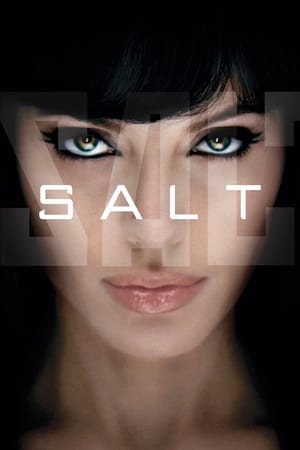 Salt (2010) Hindi Dual Audio [800MB]