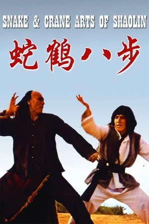 Snake and Crane Arts of Shaolin 1978 Hindi Dual Audio [980MB]