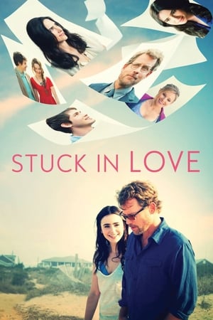 Stuck in Love (2012) Hindi Dual Audio [850MB]