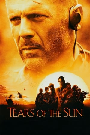 Tears of The Sun (2003) 100mb Hindi Dual Audio movie Download