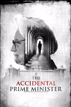 The Accidental Prime Minister (2019) Hindi Movie [1GB]