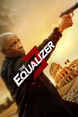 The Equalizer 3 2023 Hindi (ORG) Dual Audio –