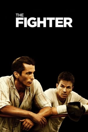 The Fighter (2010) Hindi Dual Audio 360MB