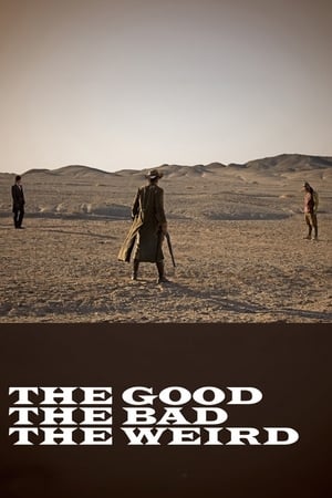 The Good the Bad the Weird 2008 Hindi Dubbed –
