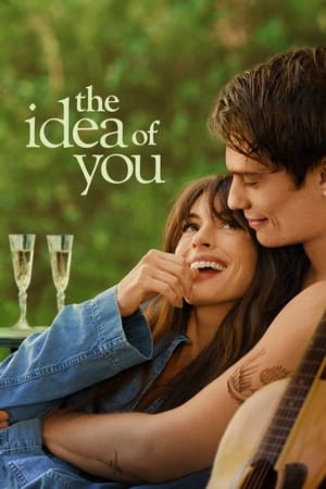 The Idea of You 2024 Hindi Dual Audio – 720p –