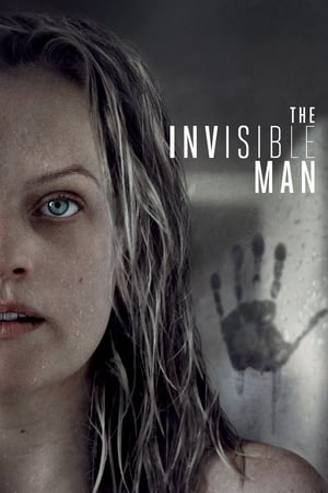 The Invisible Man (2020) Hindi (ORG) Dual Audio 400MB