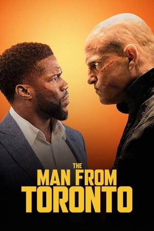 The Man From Toronto (2022) Hindi Dual Audio –
