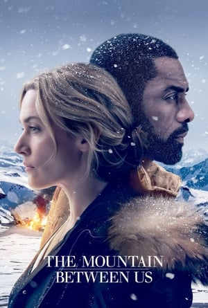 The Mountain Between Us 2017 Dual Audio Hindi 350MB