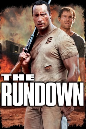 The Rundown (2003) Hindi Dual Audio 330MB