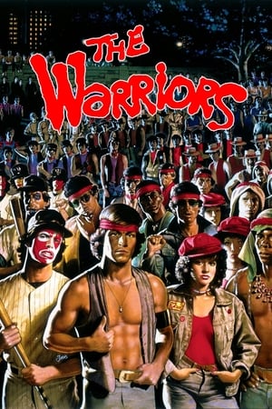 The Warriors 1979 Hindi Dual Audio 300MB