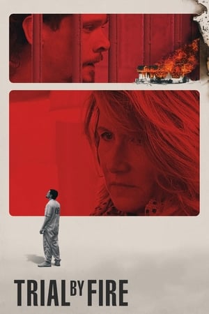 Trial by Fire 2018 Hindi Dual Audio [1GB]