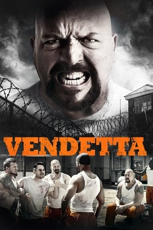 Vendetta 2015 Hindi Dual Audio 300MB