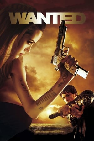 Wanted (2008) Hindi Dual Audio 360MB